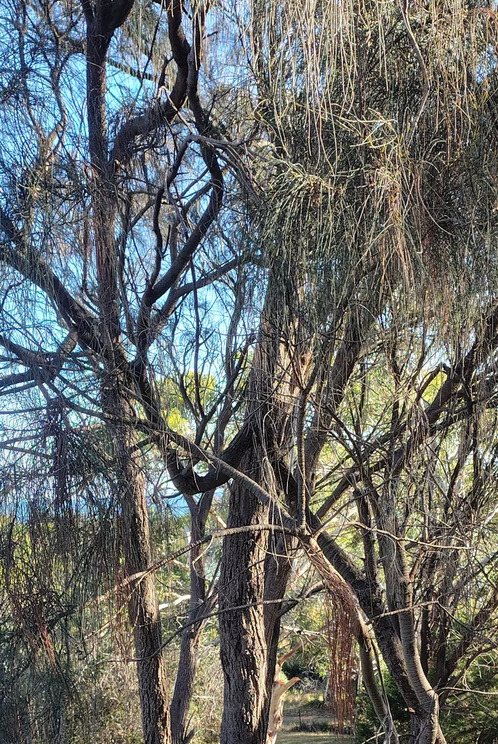 Additional image 13 of 12-14 Church street, Dodges Ferry TAS 7173