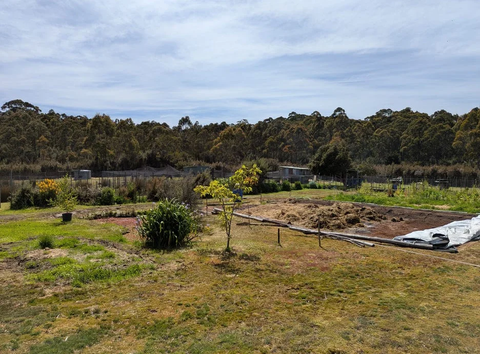 Additional image 10 of Strathblane TAS 7109
