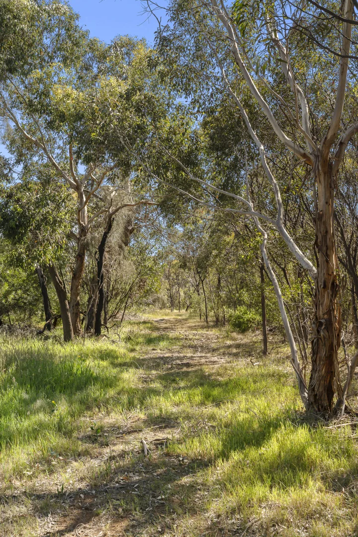 Additional image 7 of 1/38 Coolamon Close, Ocean Grove VIC 3226