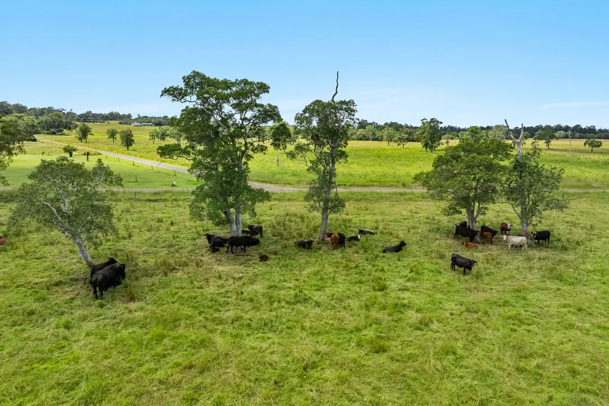 Additional image 10 of 180 Schielers Road, Tomki NSW 2470