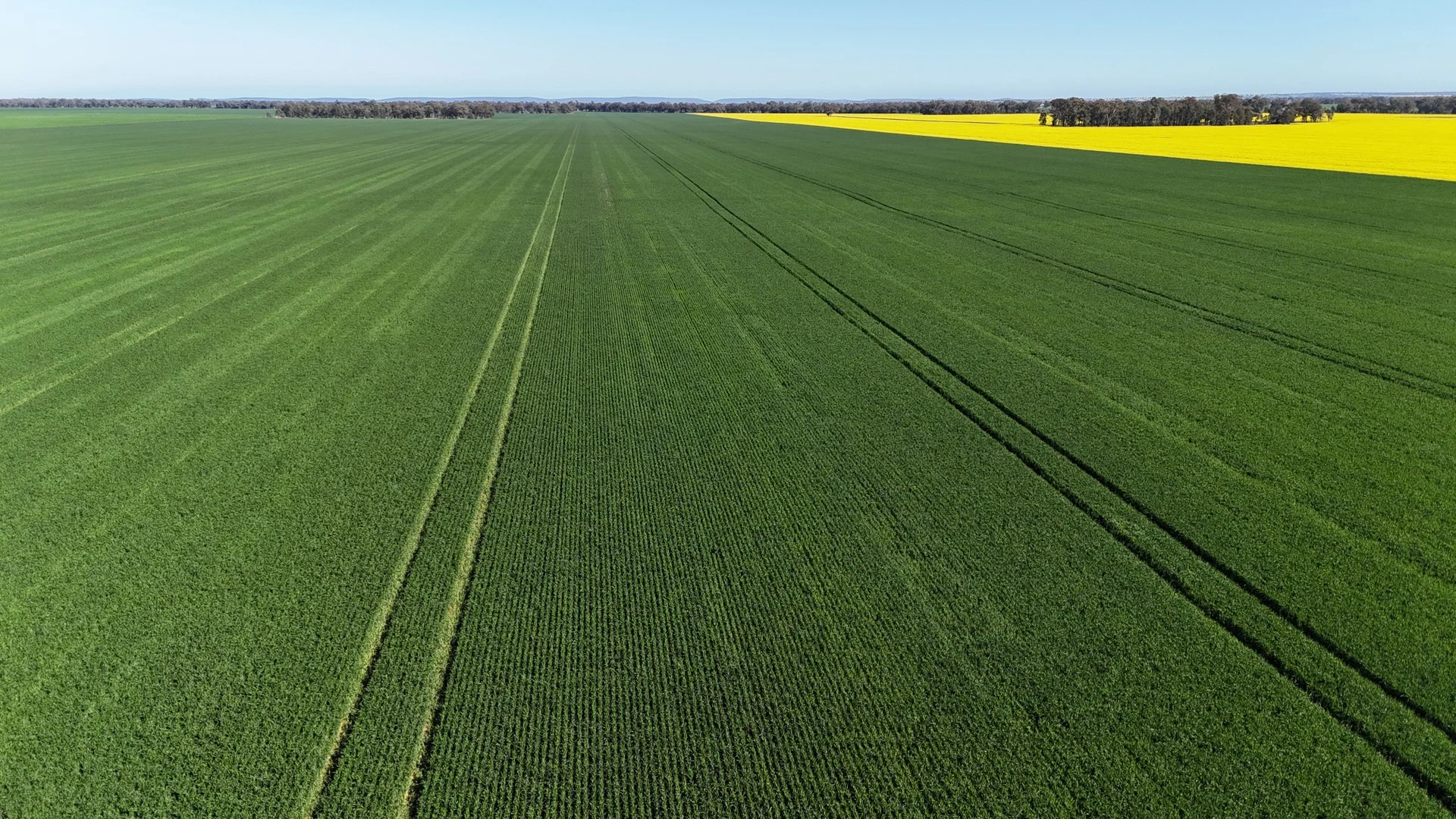 Additional image 12 of 349 Warregal Road, Parkes NSW 2870