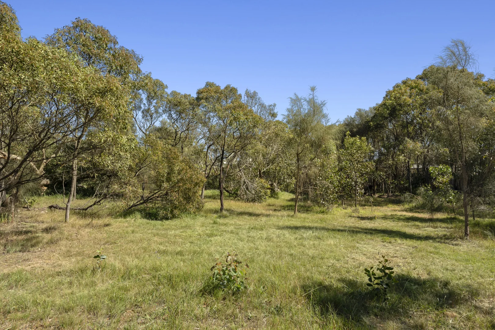 Additional image 5 of 1/38 Coolamon Close, Ocean Grove VIC 3226