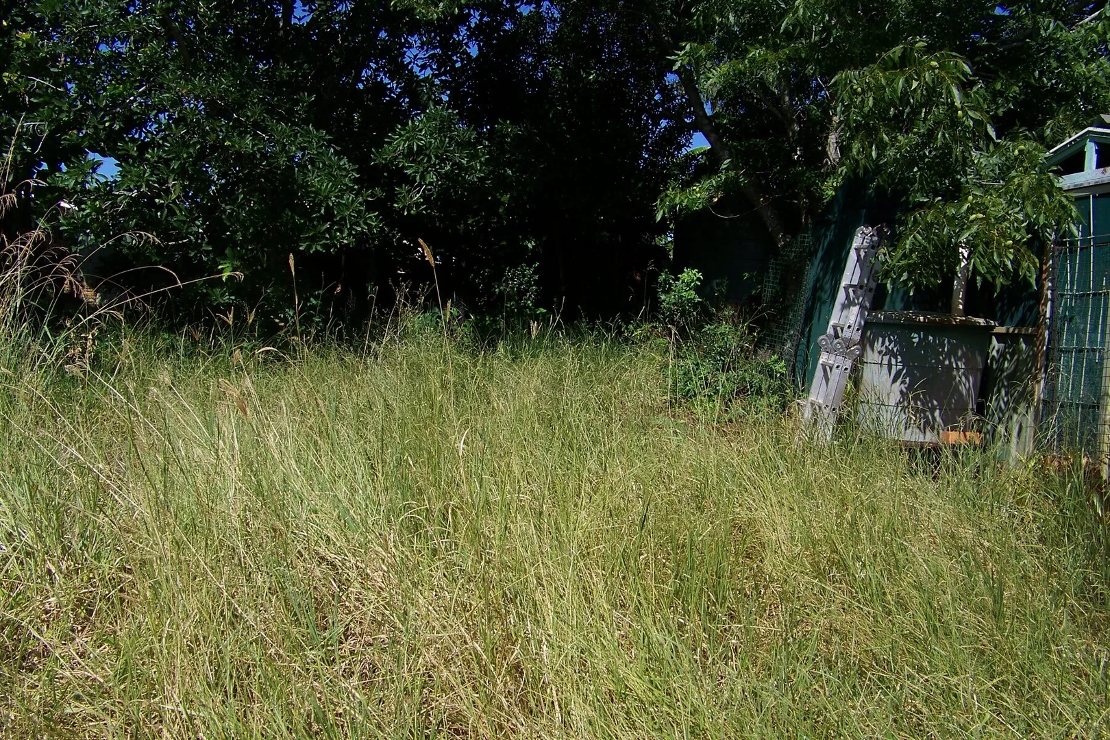 Additional image 8 of 29 Pine Avenue, Lamb Island QLD 4184