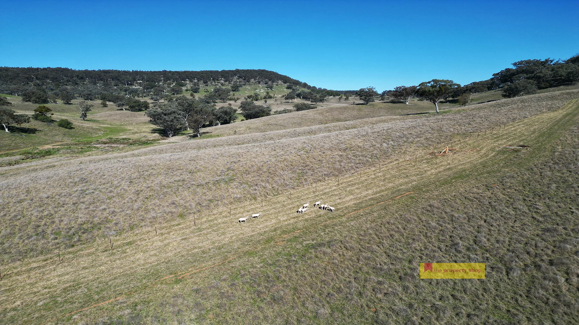 Additional image 20 of 2778 Ulan Road, Mudgee NSW 2850