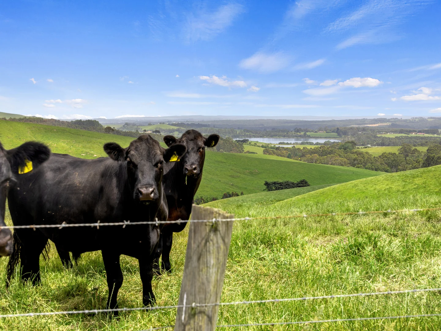 Additional image 2 of 1096 Grantville - Glen Alvie Road, Almurta VIC 3979