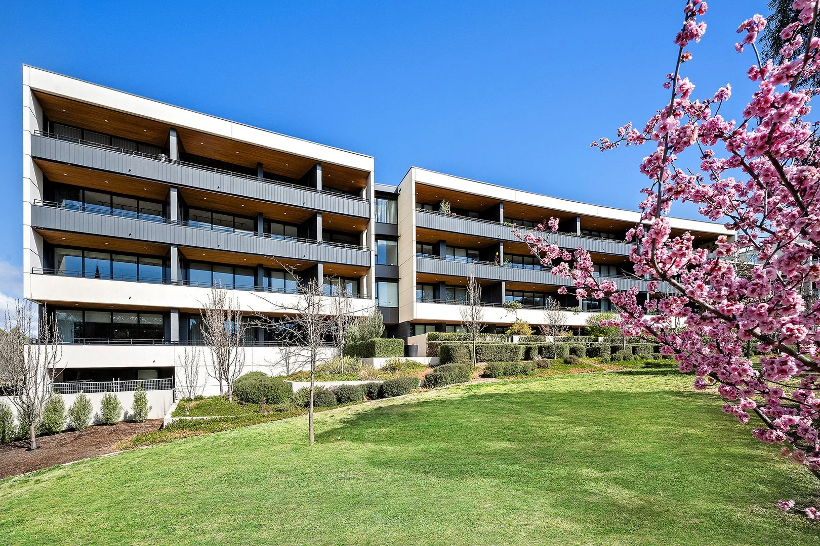 Additional image 3 of 60/7 State Circle, Forrest ACT 2603