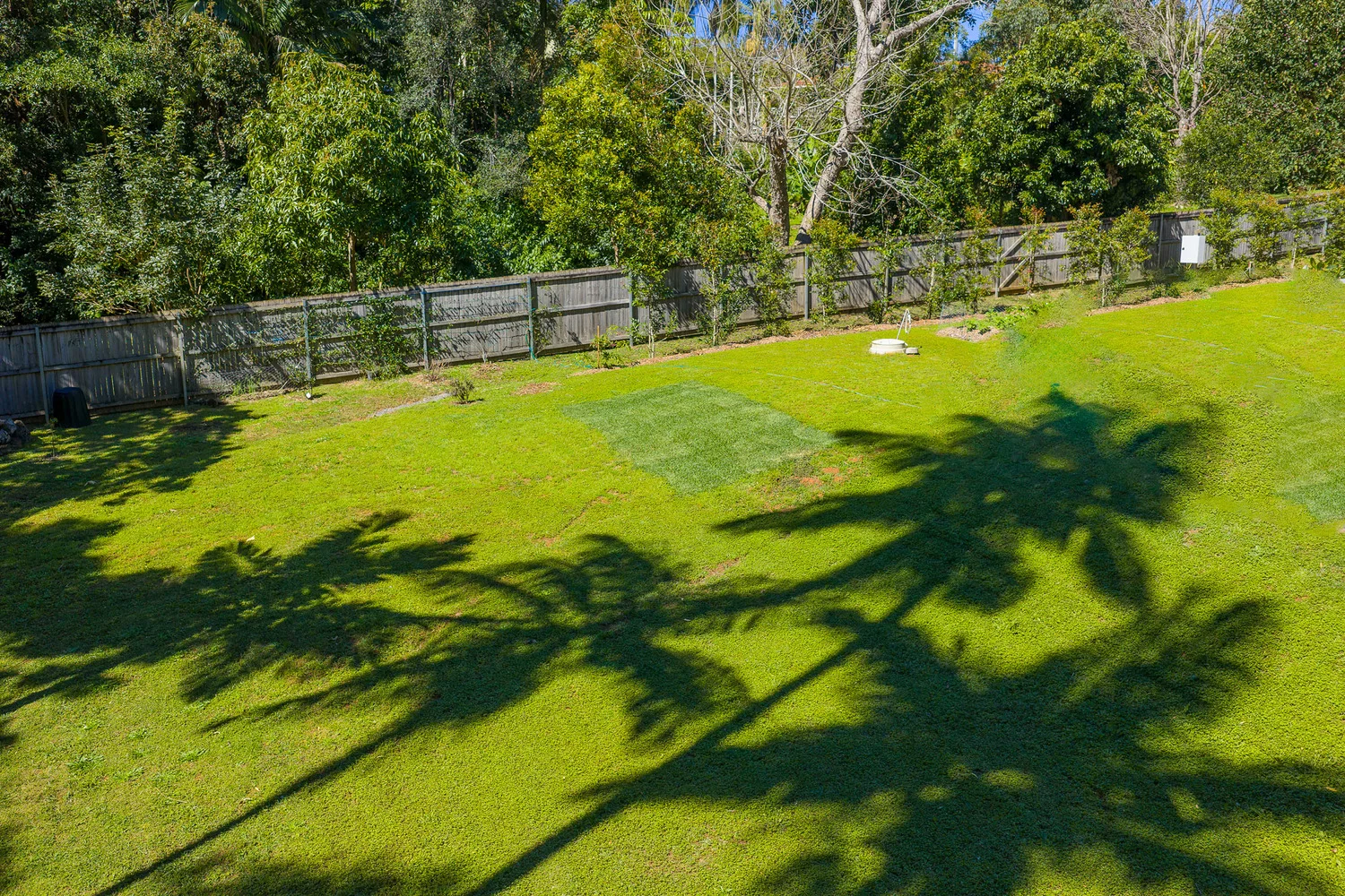 Additional image 20 of 20 Azalea Street, Mullumbimby NSW 2482