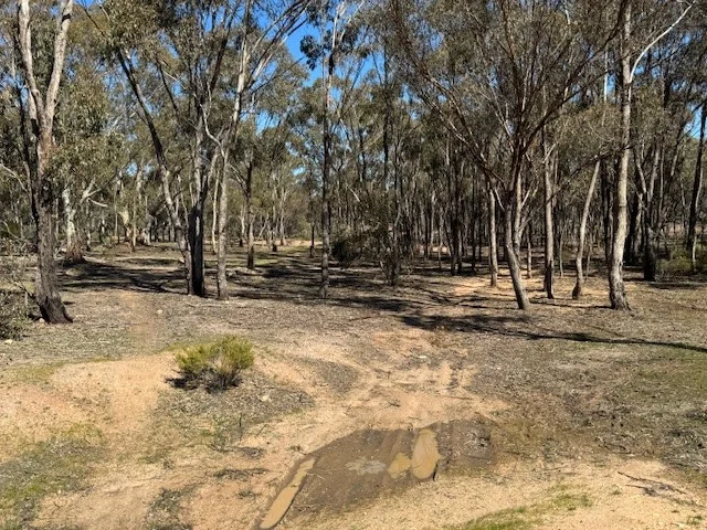 Additional image 8 of 4CA Calder Highway, Wedderburn VIC 3518