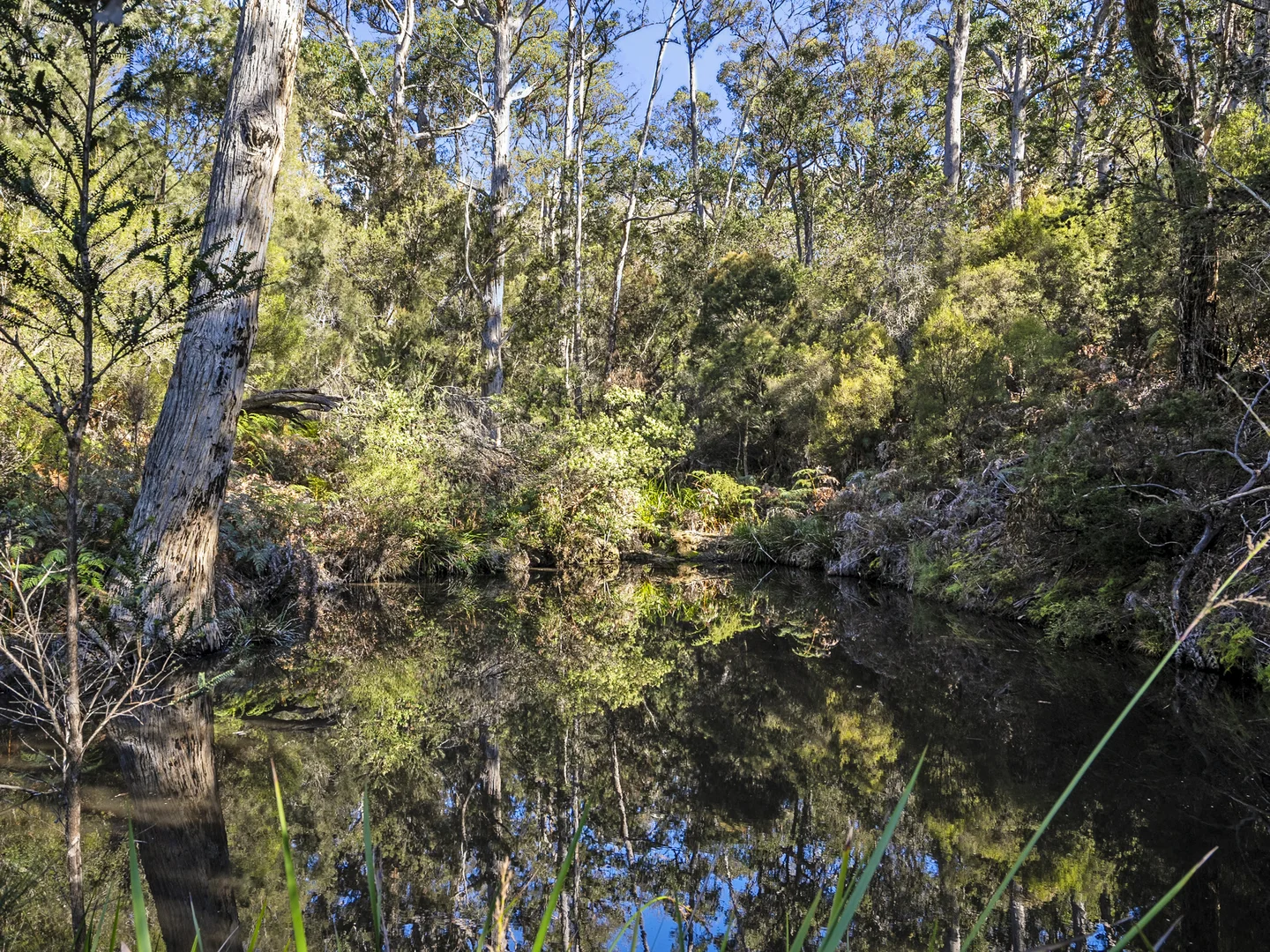 Additional image 36 of 1, 1, 2 Sympathy Point Road, Taranna TAS 7180