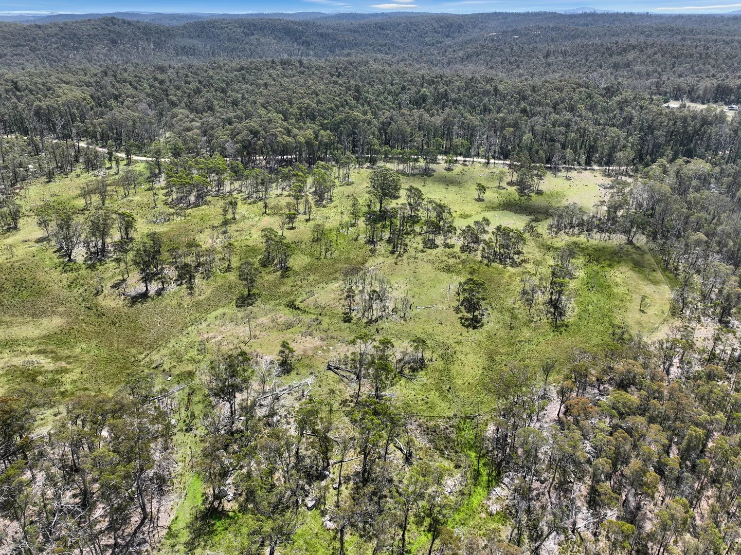 Additional image 30 of Lot 51 Tantawangalo Mountain Road, Cathcart NSW 2632