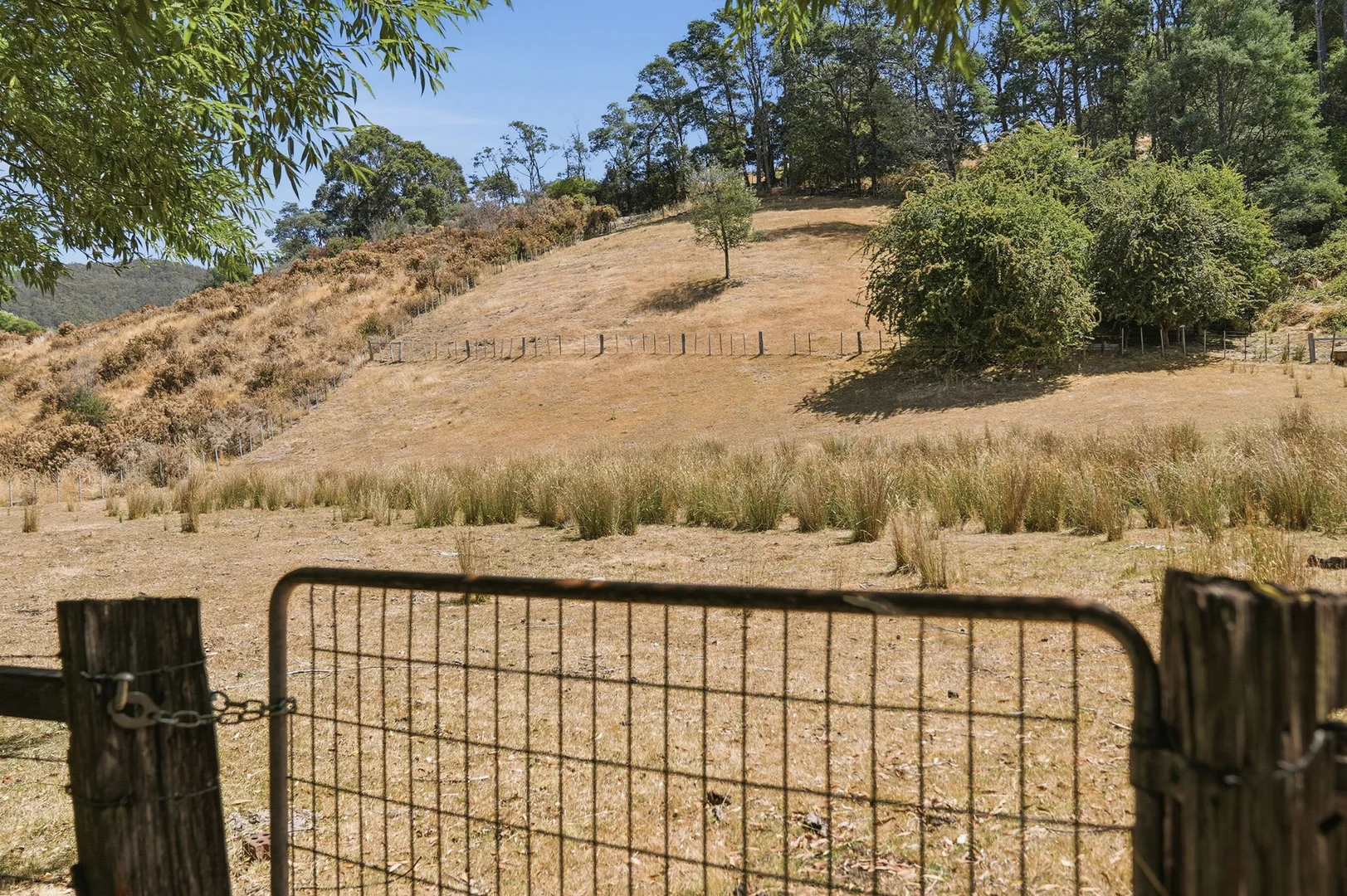 Additional image 21 of 1867 Lilydale Road, Lilydale TAS 7268