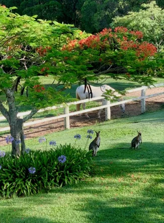 Additional image 37 of 137 Gladrose Crescent, Wongawallan QLD 4210