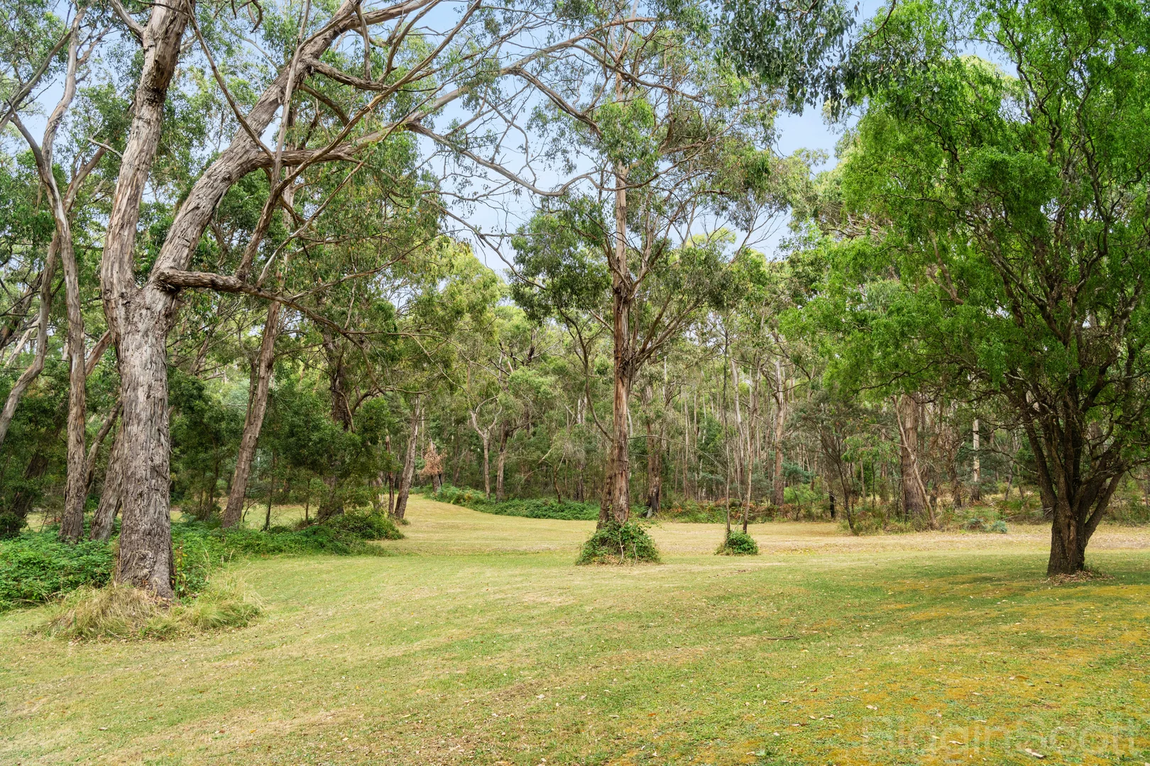 Additional image 20 of 374 Daylesford-Trentham Road, Musk VIC 3461