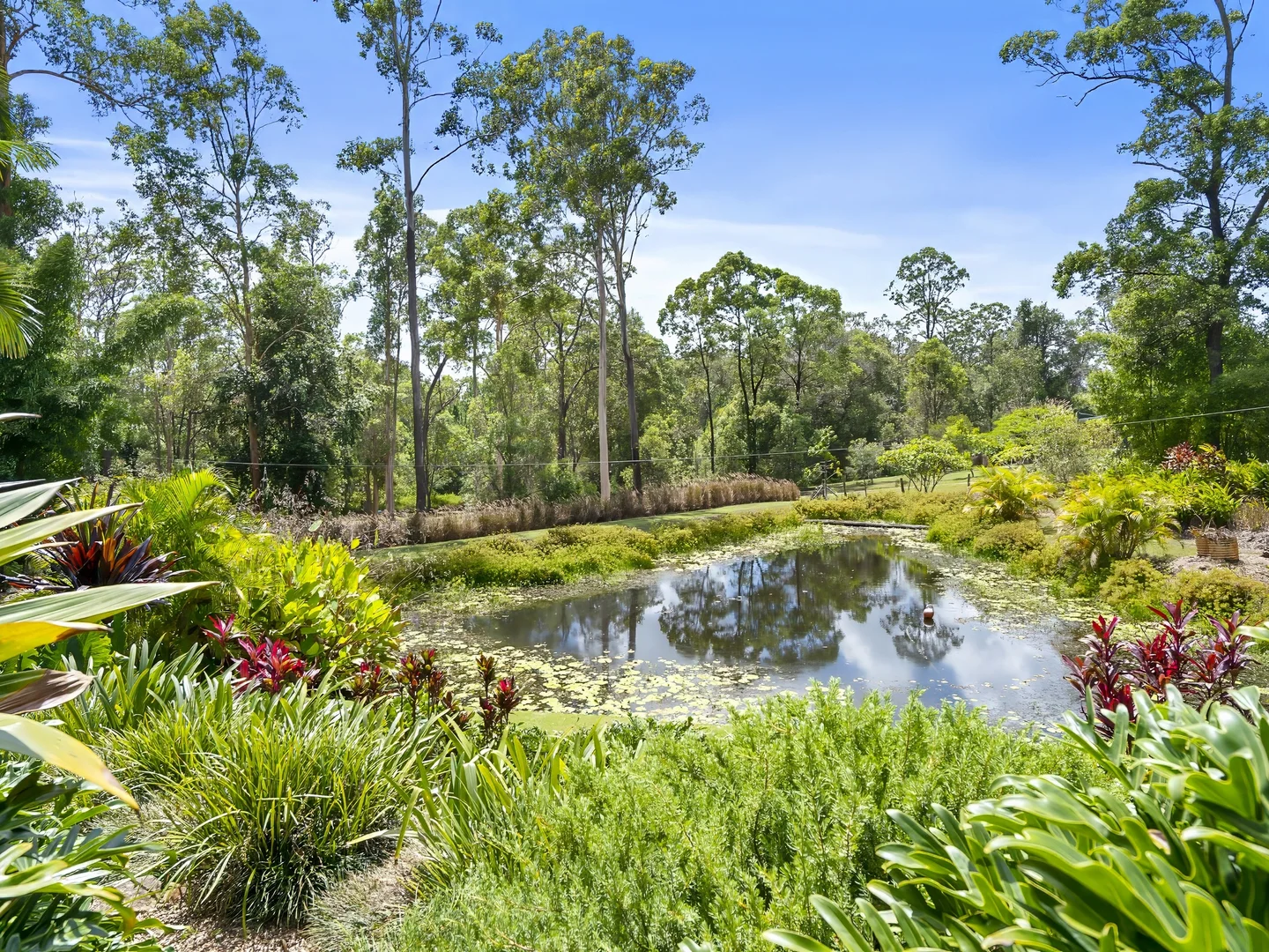 Additional image 17 of 79 Old Veteran Road, Veteran QLD 4570