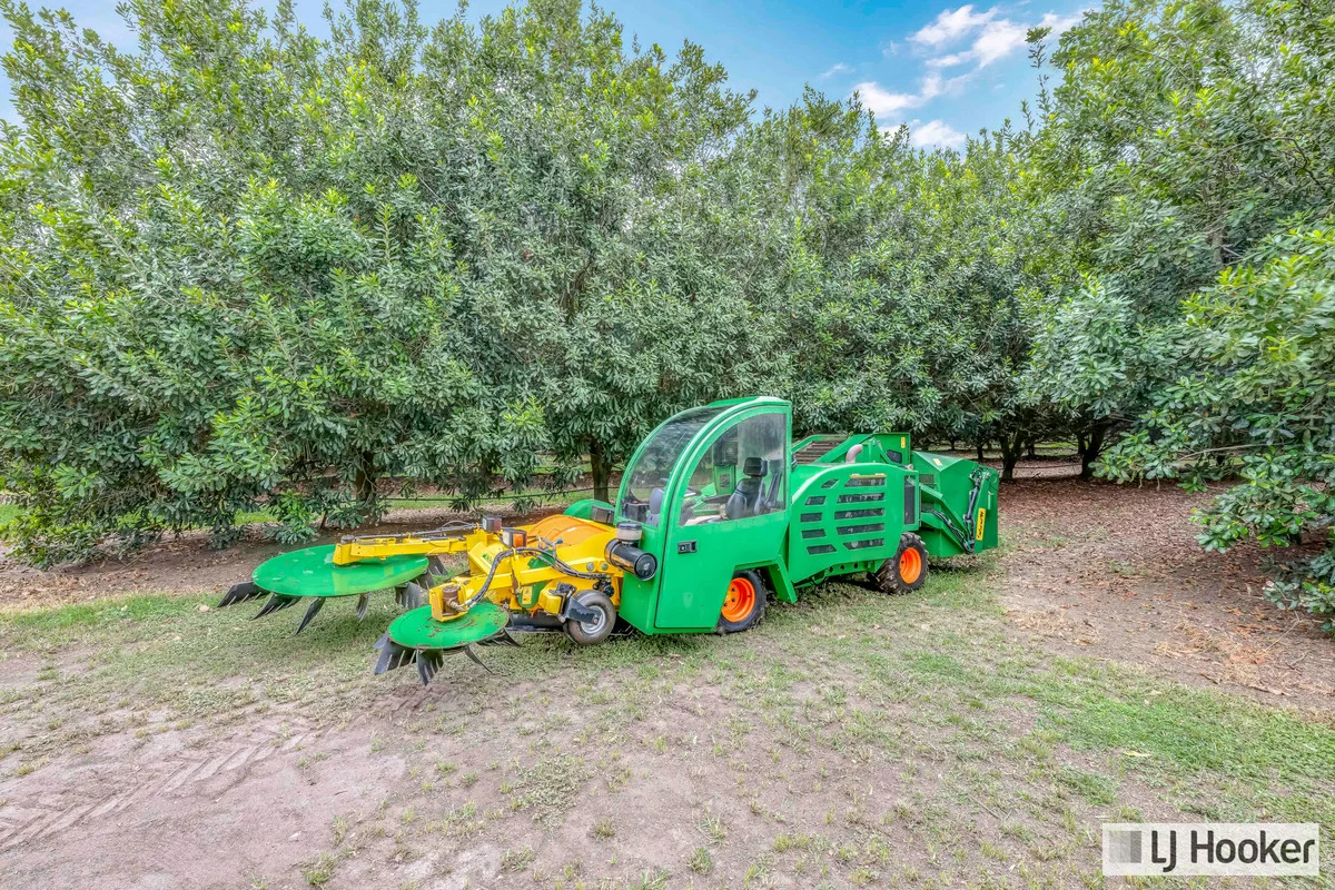 Additional image 5 of 214 Thomasens Road, Alloway QLD 4670