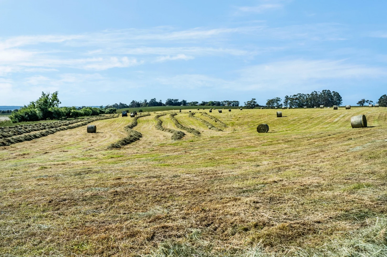 Additional image 7 of 1530 Birregurra-Forrest Road, Barwon Downs VIC 3243