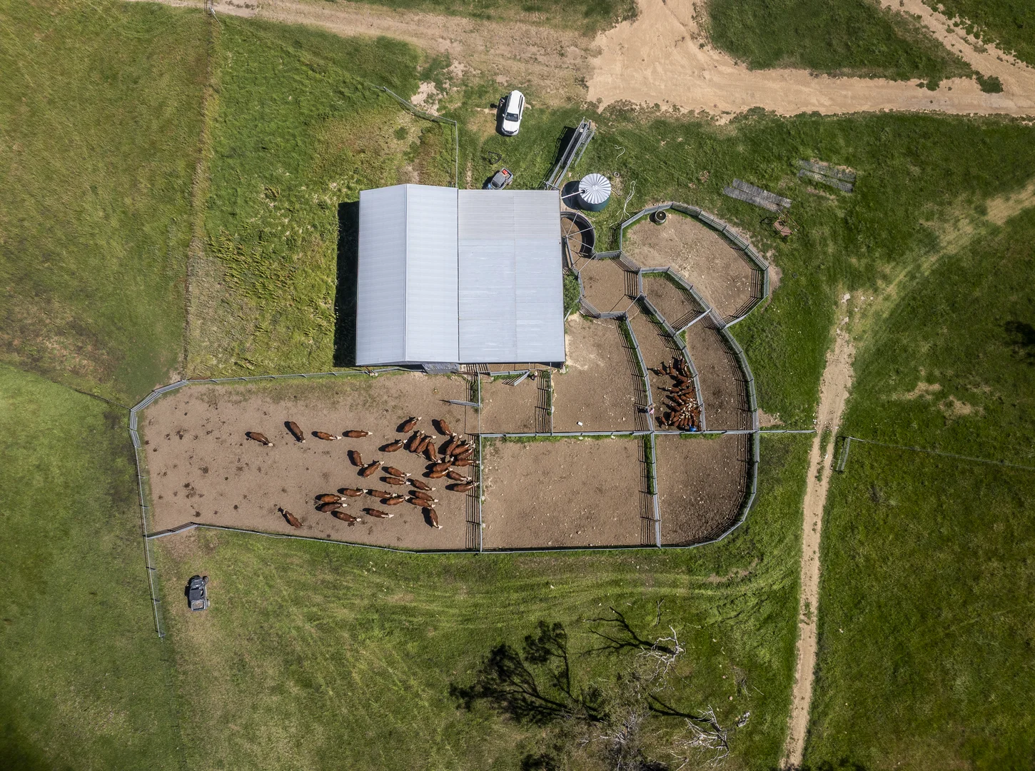 Additional image 20 of 338 Fishington Road, Wongwibinda NSW 2350