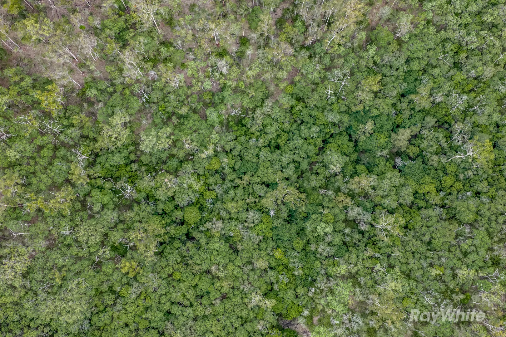 Additional image 14 of Lot 42 Moolboolaman Road, Moolboolaman QLD 4671