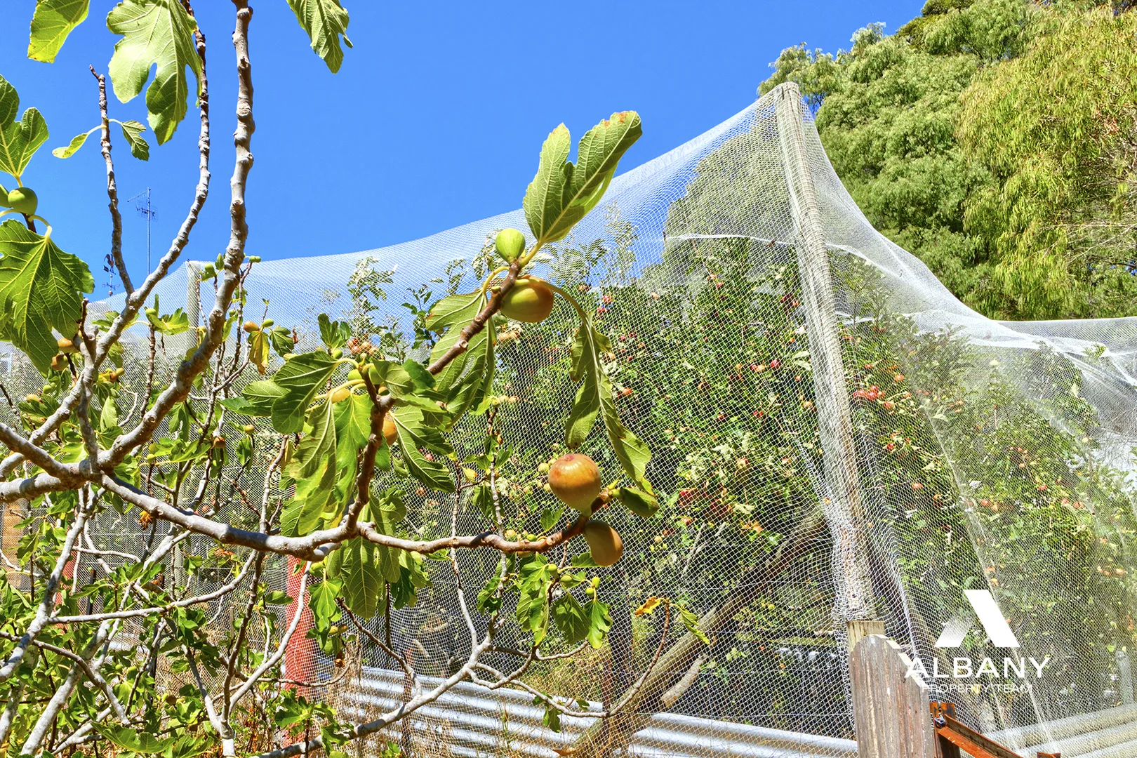 Additional image 33 of 84 Puls Road, Torbay WA 6330