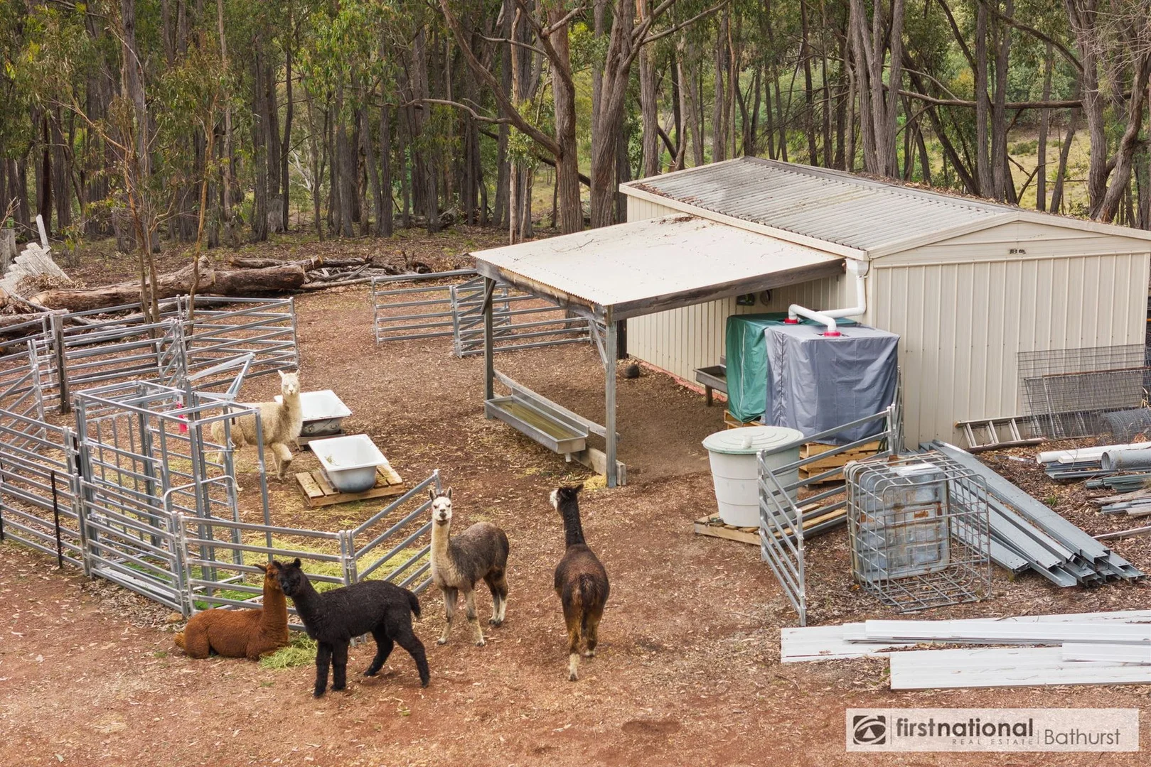 Additional image 13 of 2975 Limekilns Road, Paling Yards NSW 2795