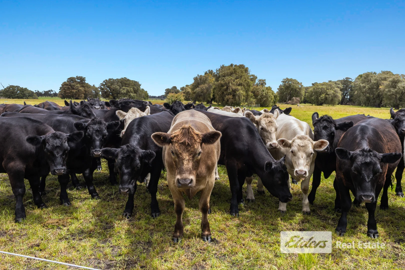 Additional image 27 of 384 Gavins Road, Capel WA 6271