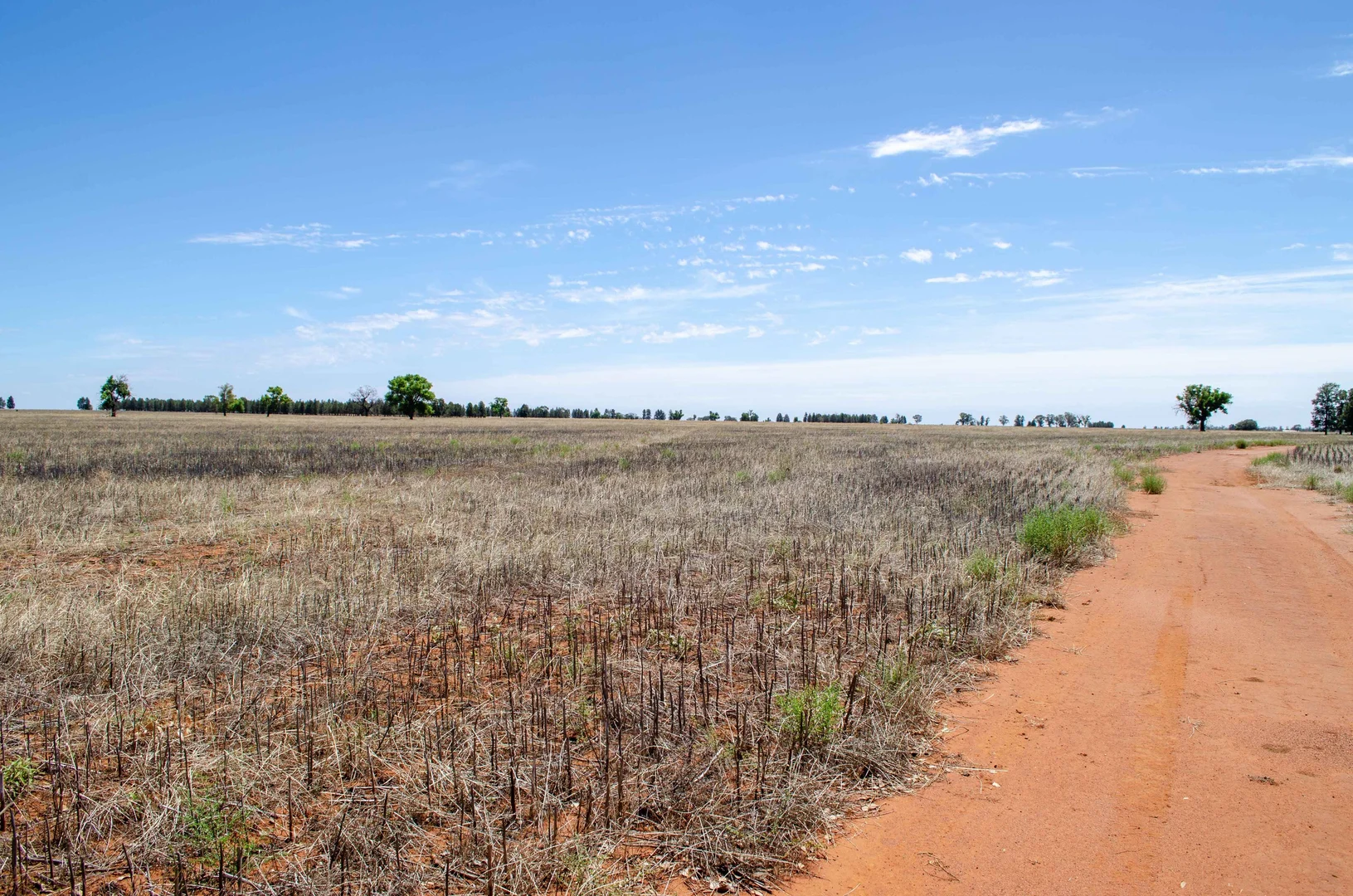 Additional image 11 of 489 West Milby Lane, Tullibigeal NSW 2669