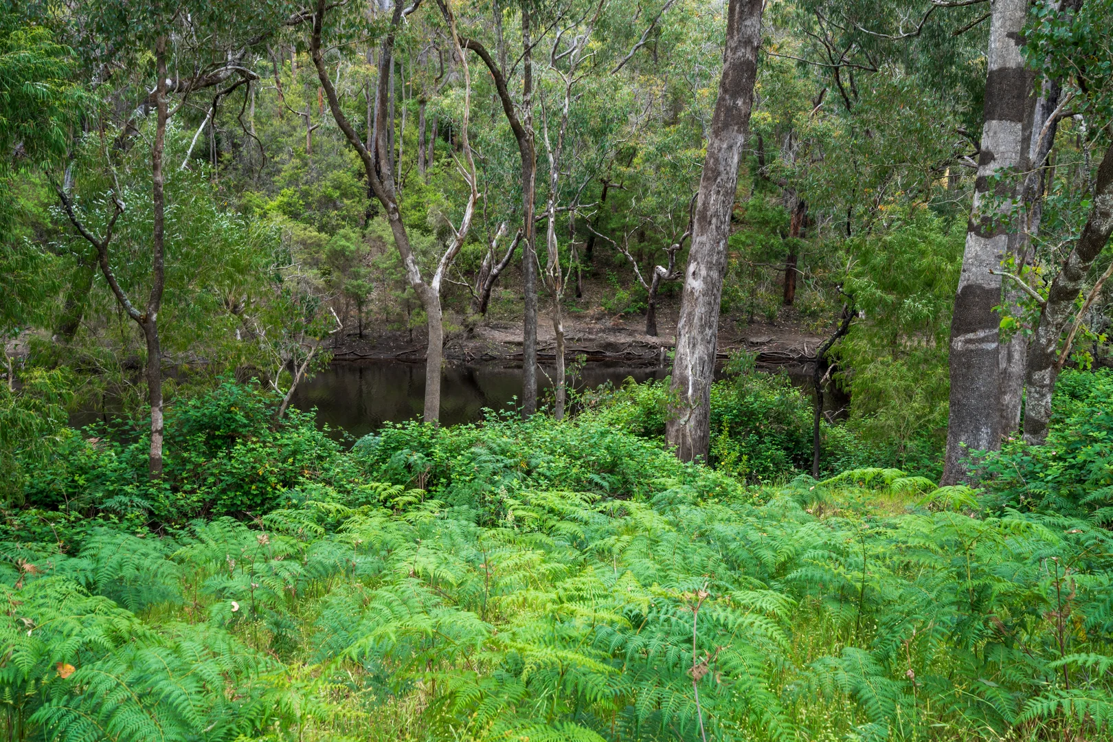 Additional image 12 of Lot 4 Kammann Road (Upper Warren), Manjimup WA 6258