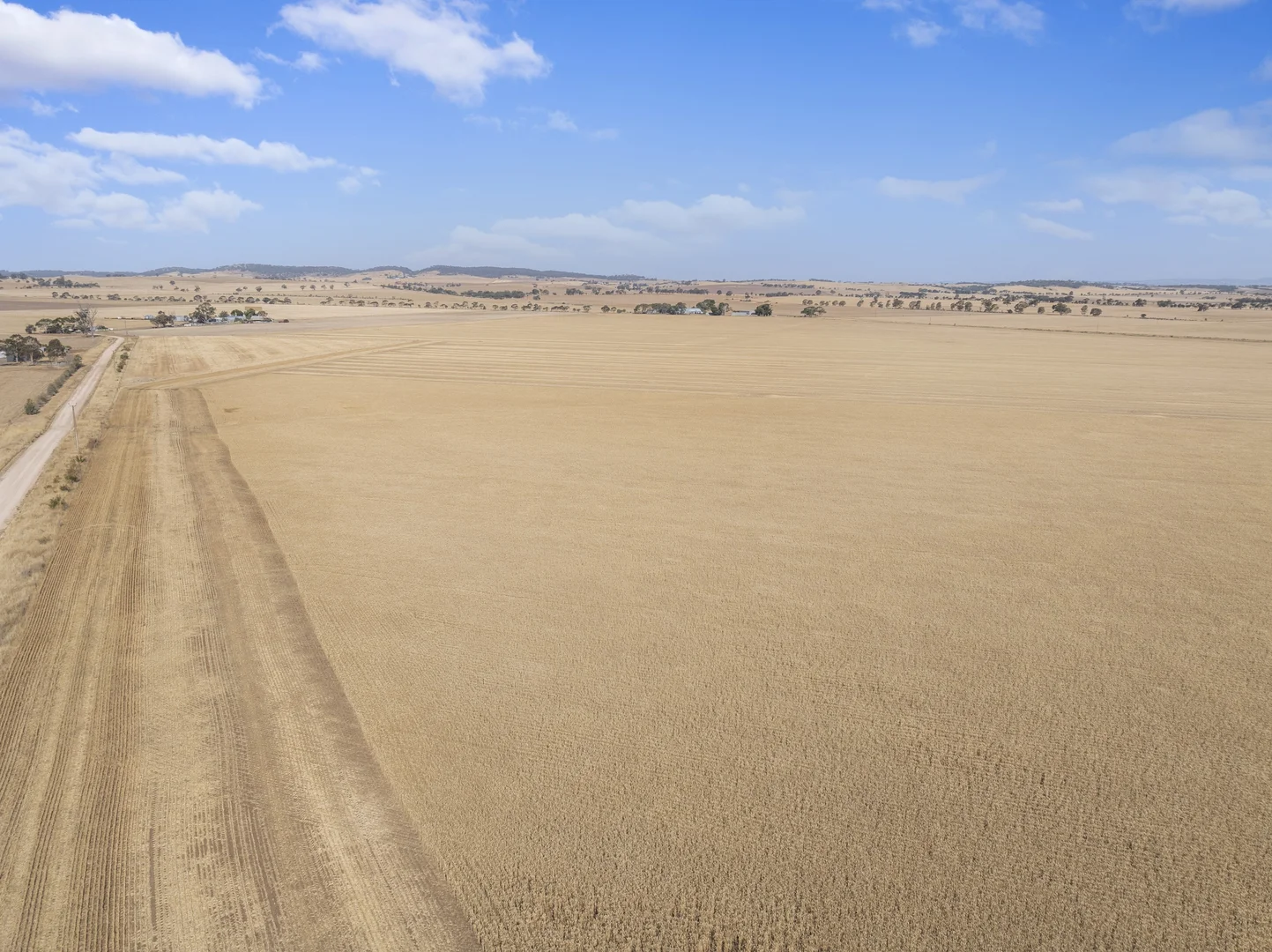 Additional image 24 of 'Leske Farm' Thiele Highway, Freeling SA 5372