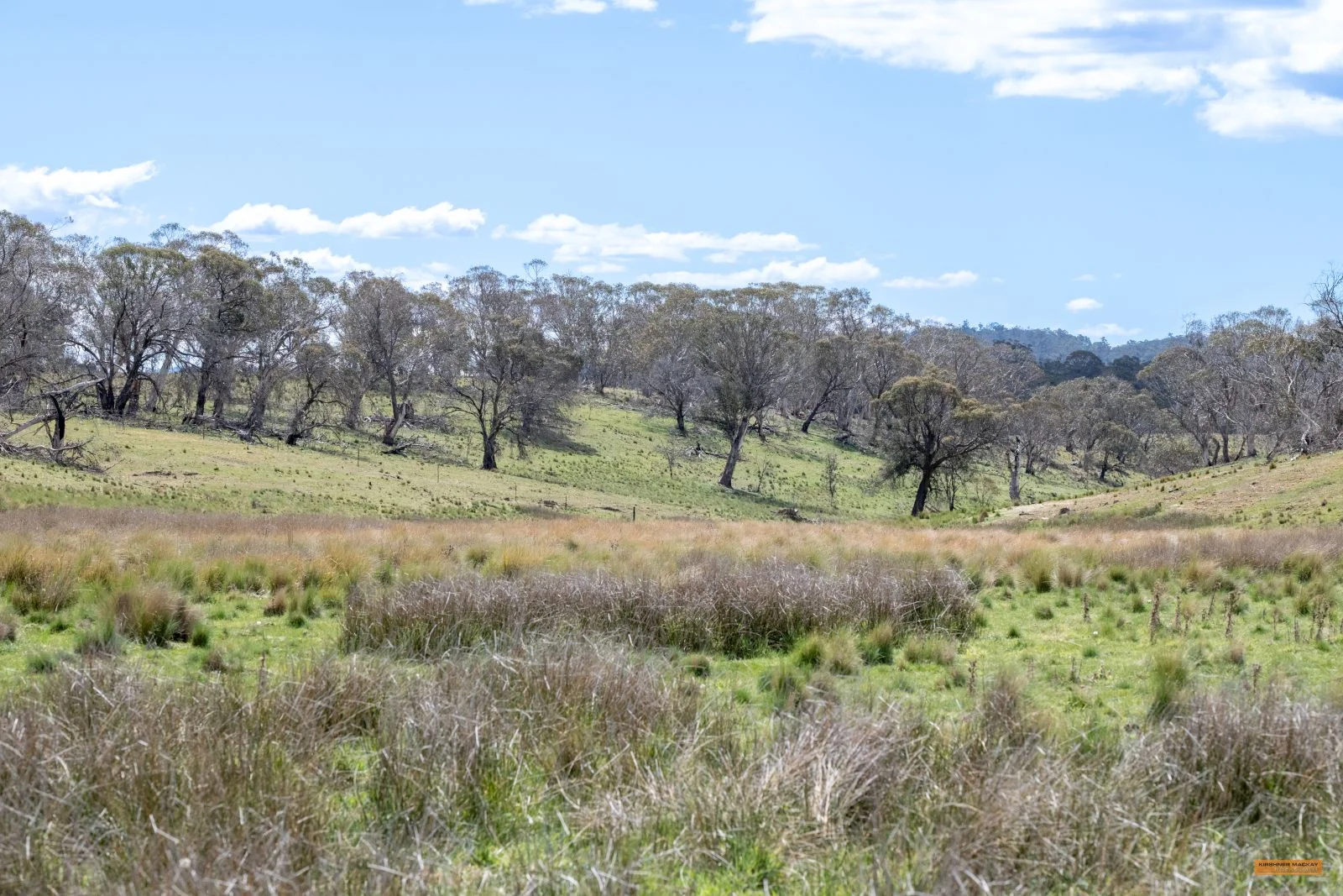 Additional image 5 of Lot 6 Avonside Road, Avonside NSW 2628