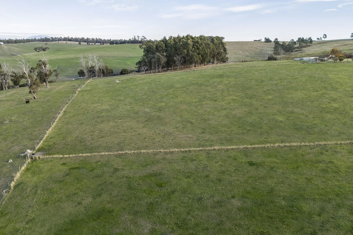 Additional image 11 of 1921 Bridport Road, Bridport TAS 7262