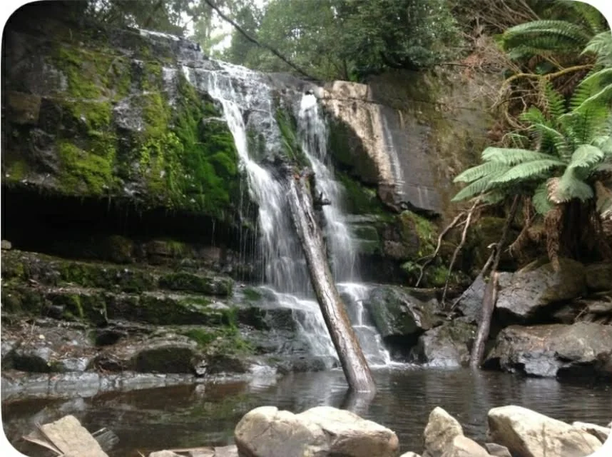 Additional image 22 of 1985 Main Road, Lilydale TAS 7268