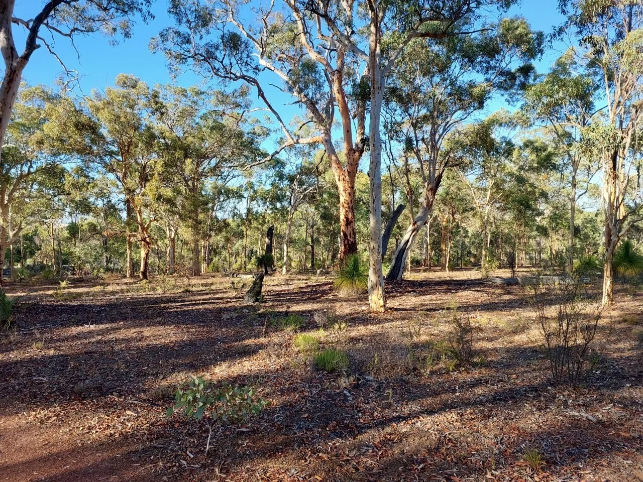 Additional image 10 of LOT 39 Laterite Way, Coondle WA 6566