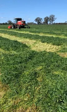 Additional image 17 of 1448 Labuan Road, Marungi VIC 3634