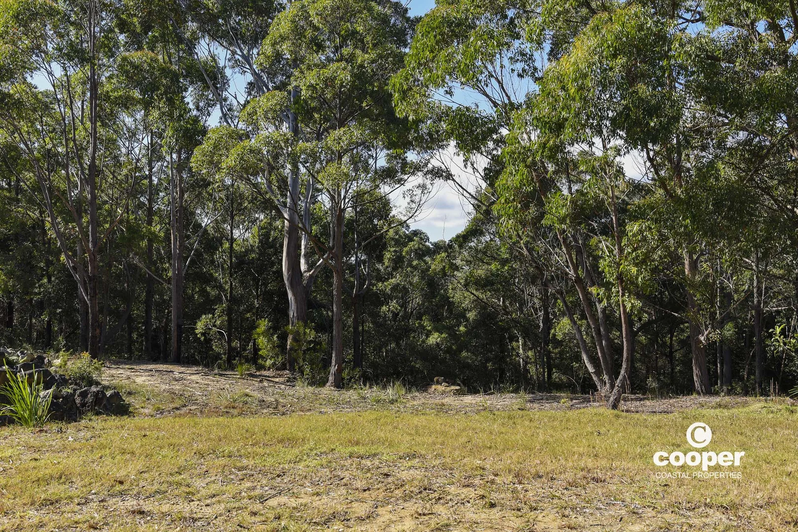 Additional image 6 of 56A Kingiman Road, Woodburn NSW 2538