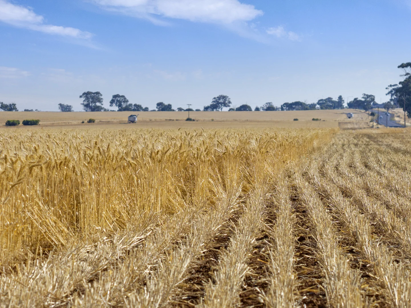 Additional image 21 of 'Leske Farm' Thiele Highway, Freeling SA 5372