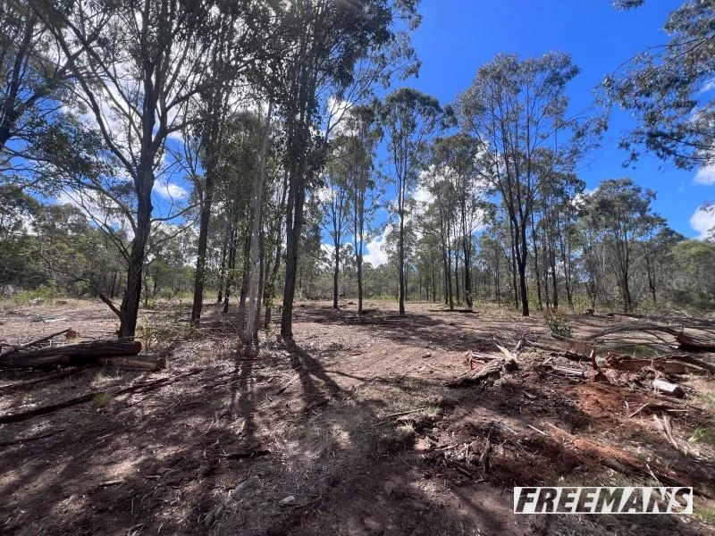 Additional image 30 of 316 Wattle Camp Road, Wattle Camp QLD 4615