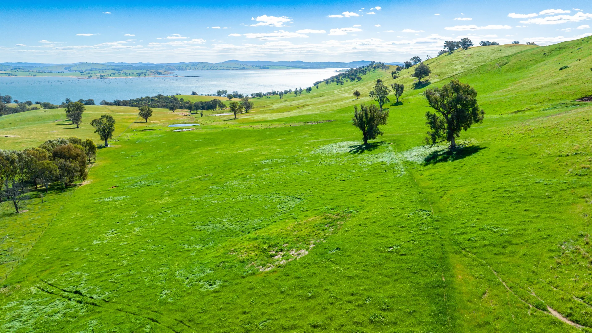 Additional image 13 of . Hore Road, Bowna NSW 2644