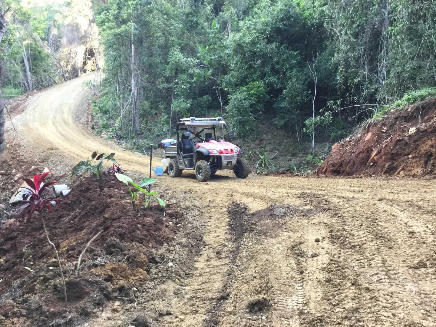 Additional image 9 of 1243 Yakapari-Seaforth Road, Mount Jukes QLD 4740