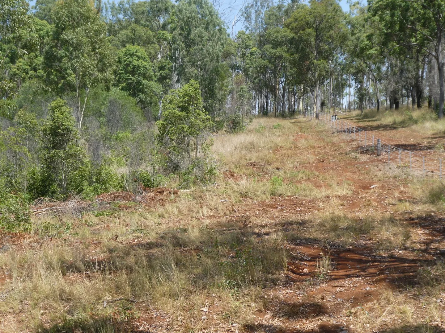 Additional image 28 of 35 Mahoneys Road, Bucca QLD 4670