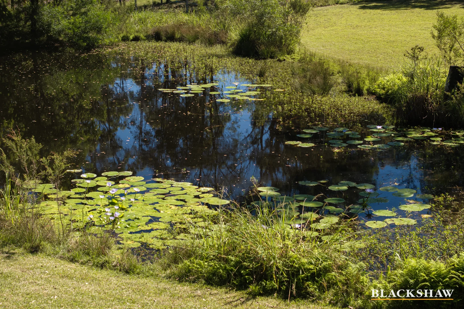 Additional image 33 of 136 Bimbimbie Road, Bimbimbie NSW 2536