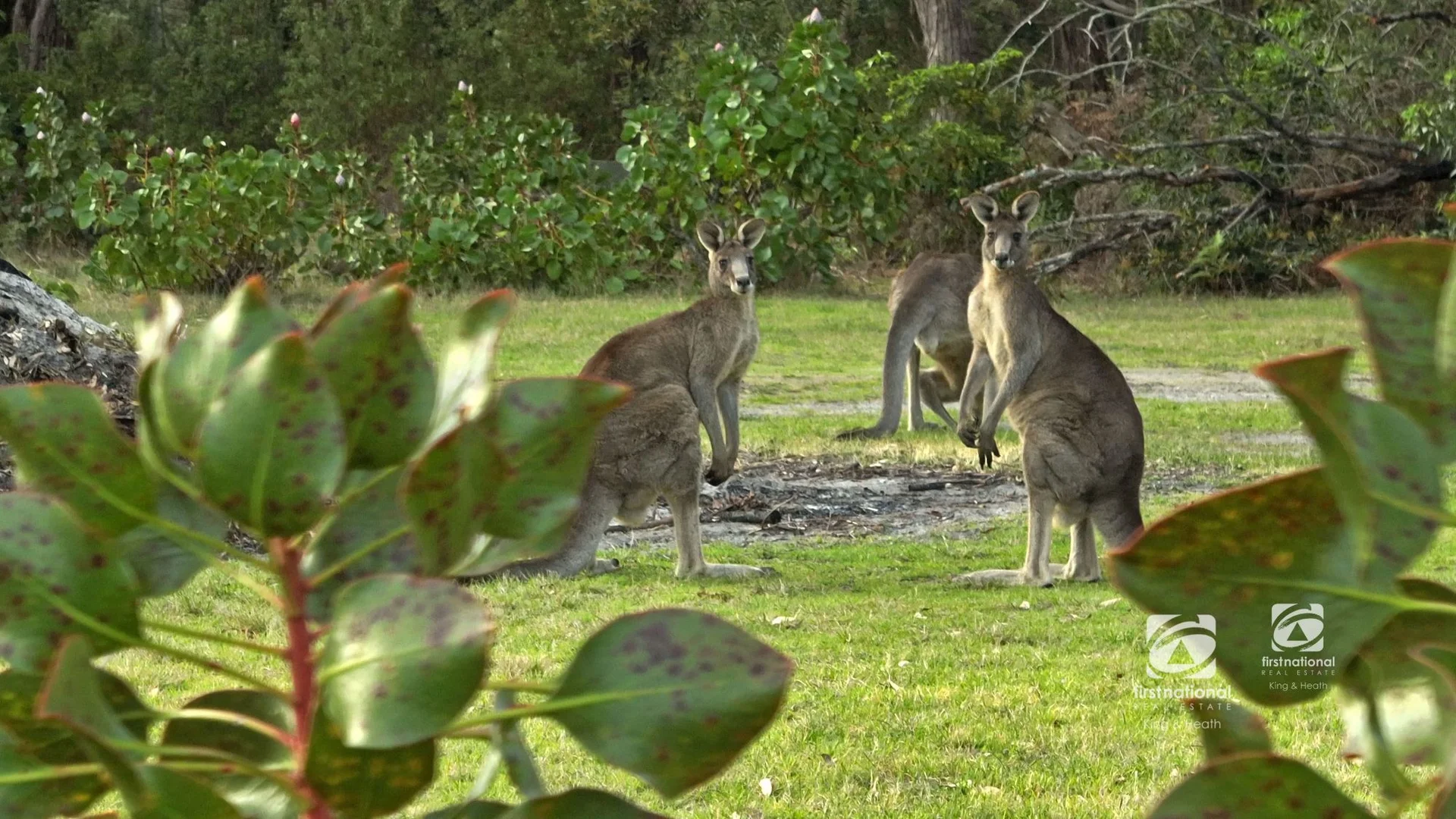 Additional image 10 of 30 Fourth Avenue, Raymond Island VIC 3880