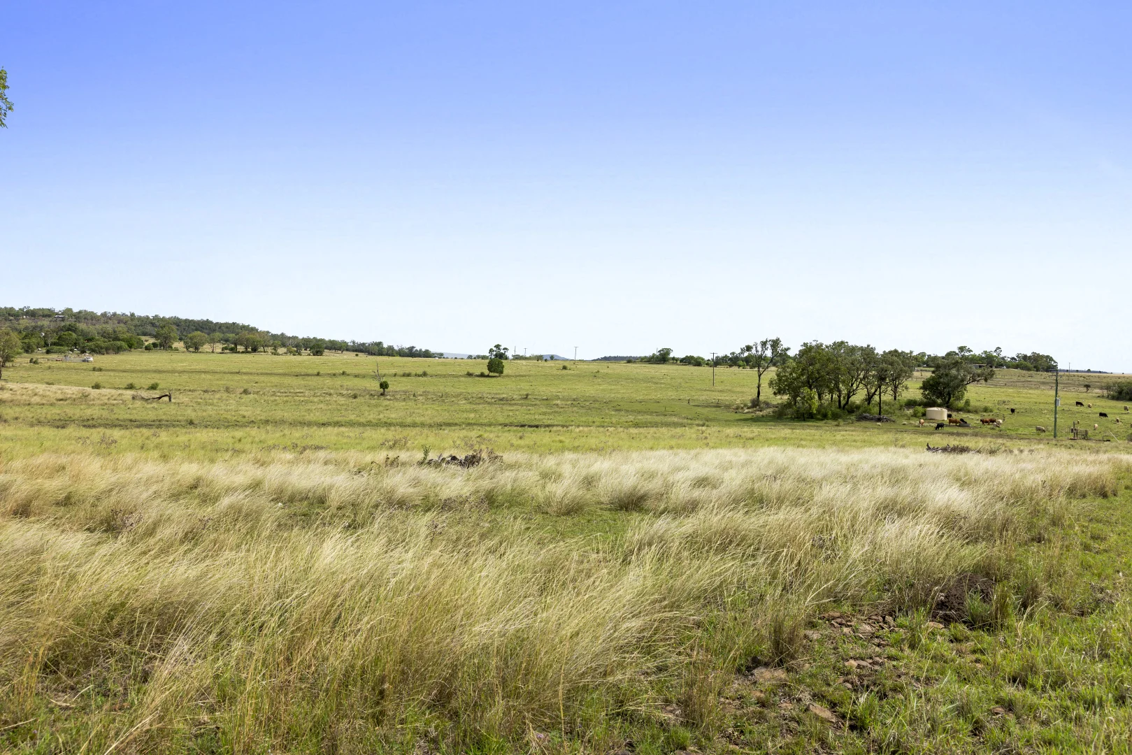 Additional image 11 of 2351 Toowoomba Cecil Plains Road, Aubigny QLD 4401