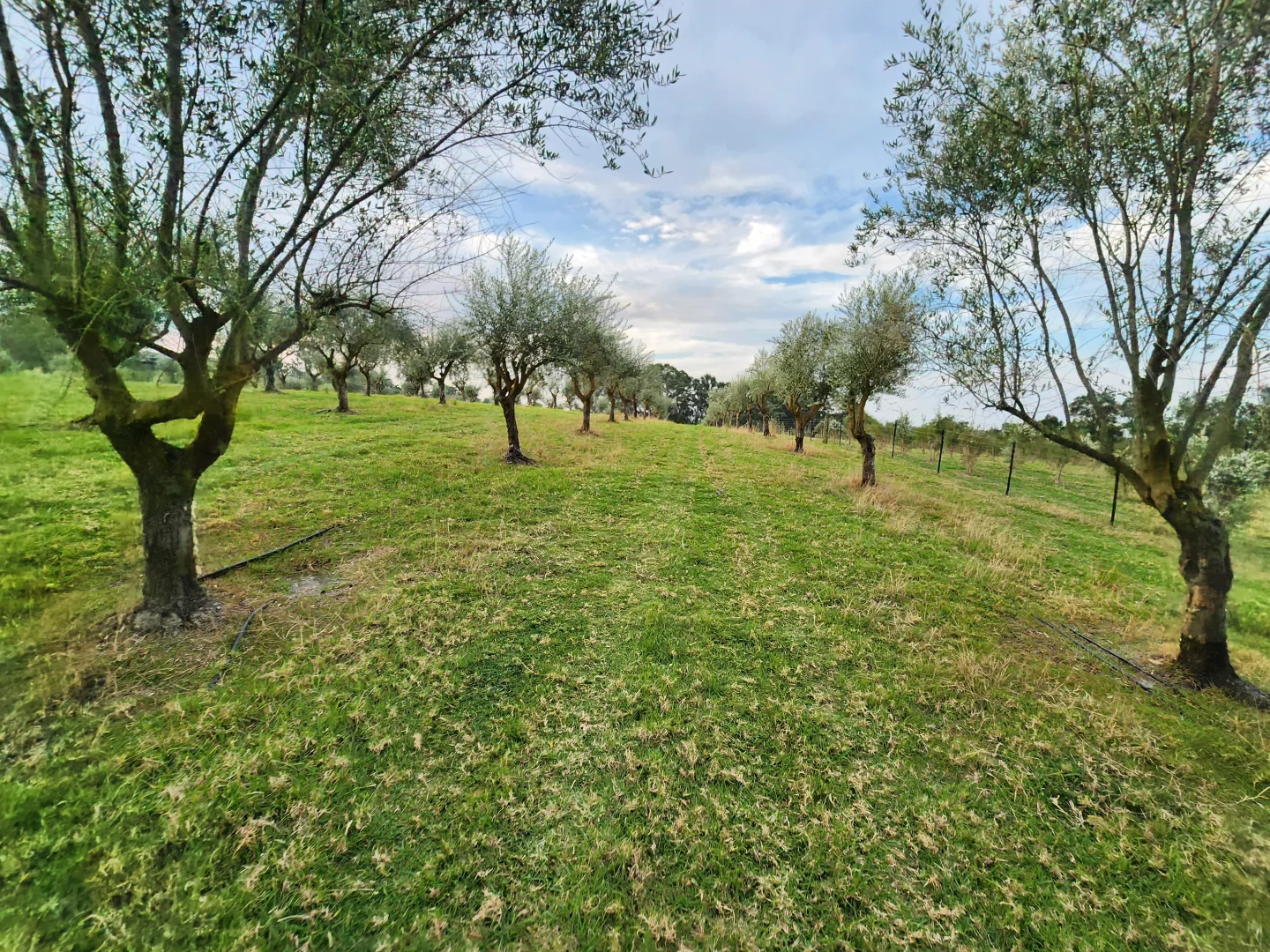 Additional image 45 of 100 Eltons Road, Silverdale NSW 2752