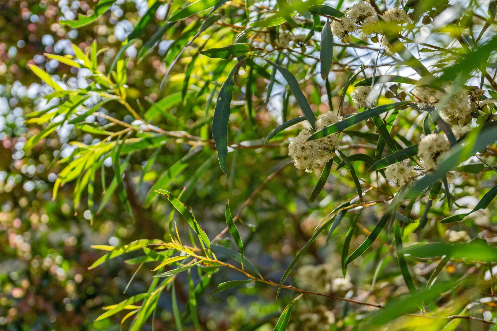 Additional image 16 of 9 Bobs Road, Oyster Cove TAS 7150