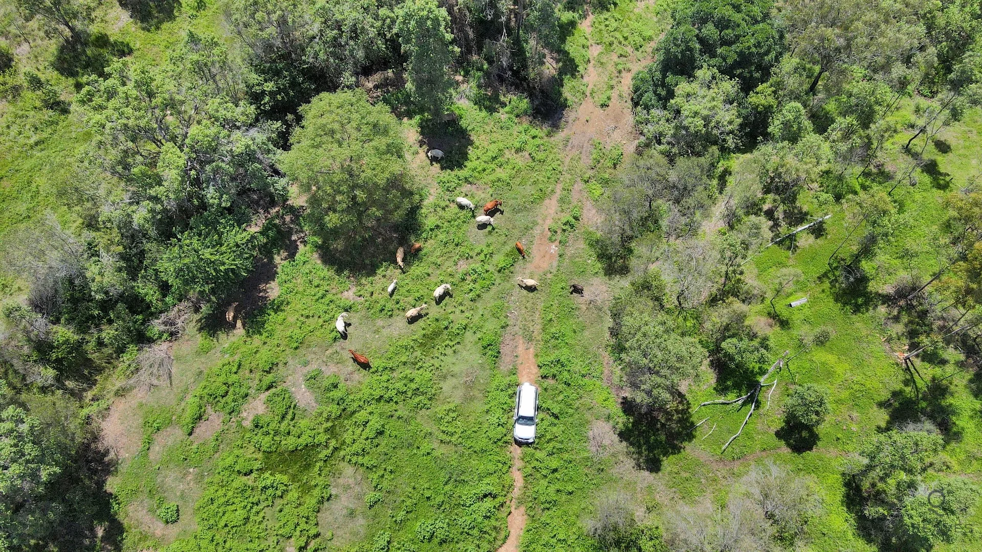 Additional image 9 of Walters Road, New Moonta QLD 4671