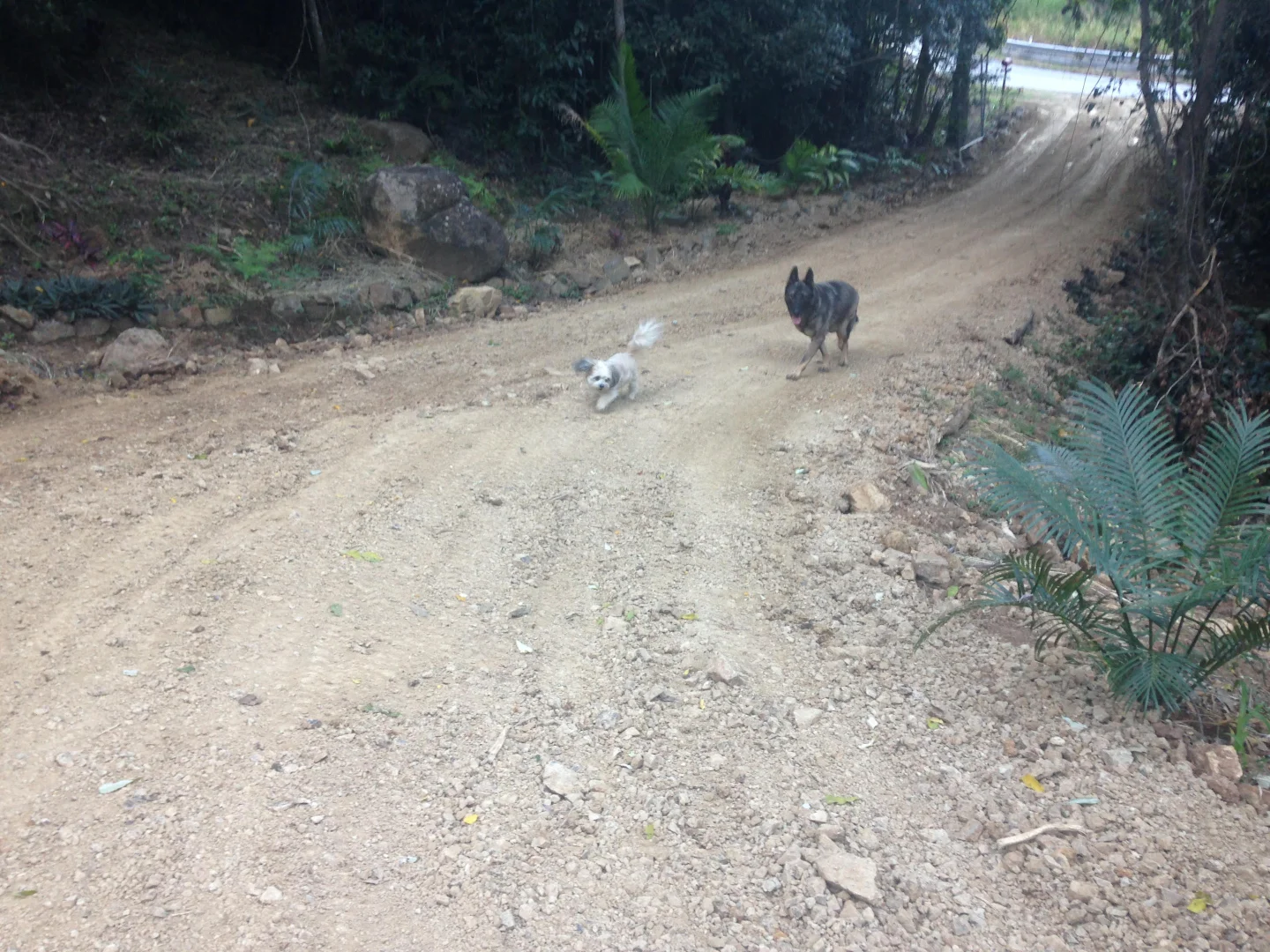 Additional image 8 of 1243 Yakapari-Seaforth Road, Mount Jukes QLD 4740