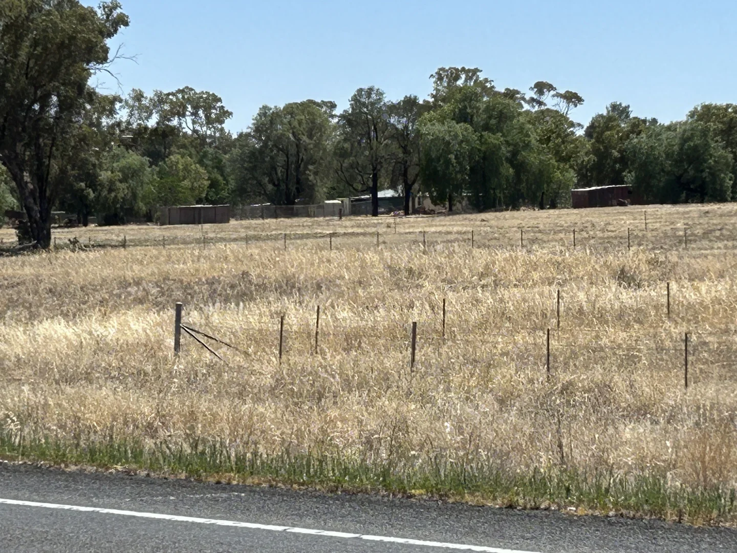 Additional image 2 of 48 FURNERS LANE, Trewilga NSW 2869