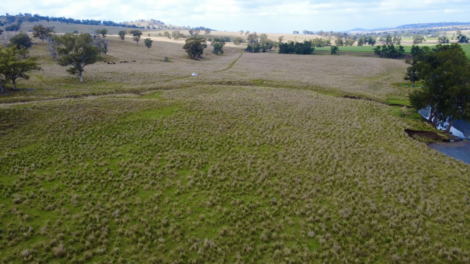 Additional image 17 of 955 "Wirringulla" Coulsons Creek Road, Merriwa NSW 2329