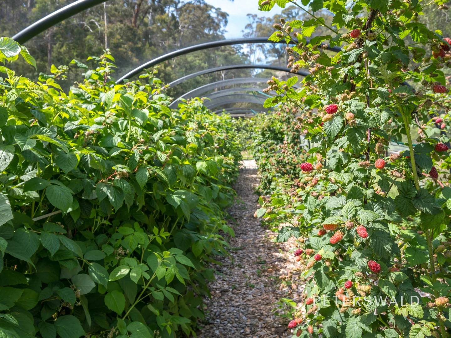 Additional image 27 of 109 Jones Road, Premaydena TAS 7185