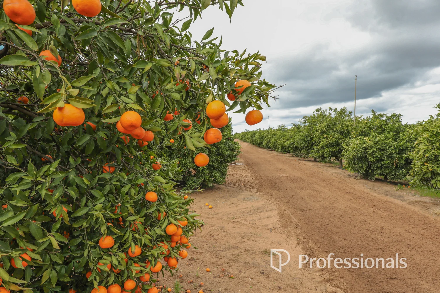 Additional image 26 of 45 Regent Drive, Colignan VIC 3494